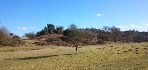 Knole Park