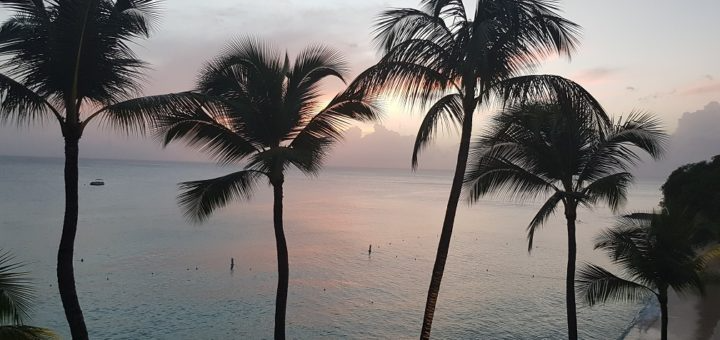 View of the sea in Barbados